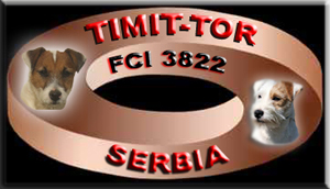 Jack Russell terrier kennel